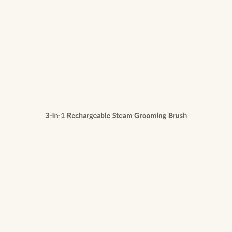 3-in-1 Rechargeable Steam Grooming Brush