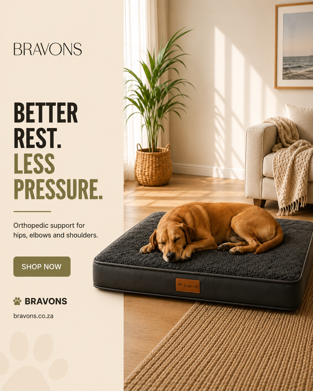 Orthopedic Memory Foam Pet Bed