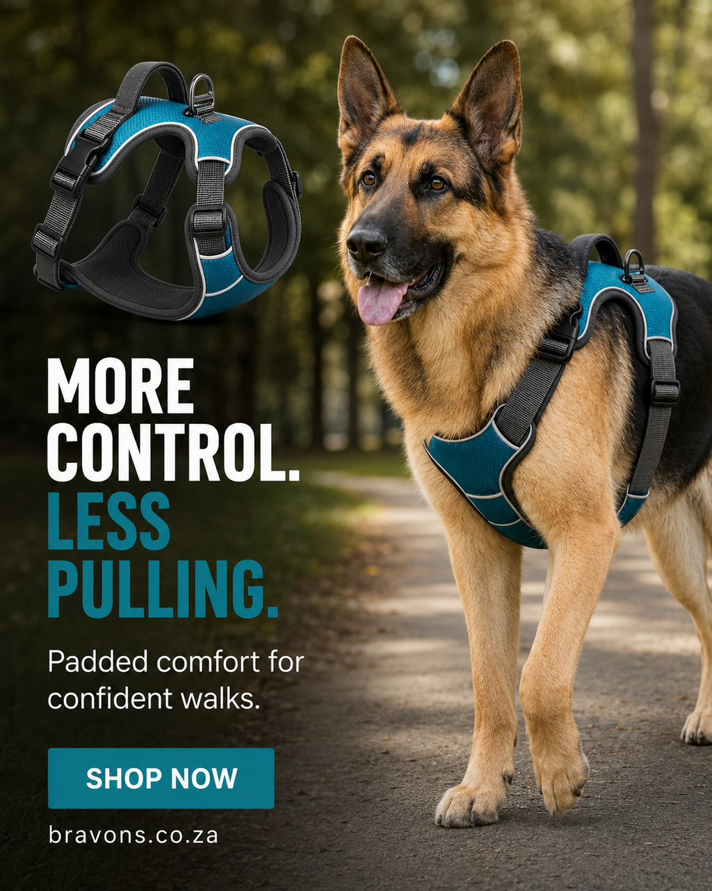Adventure Dog Harness