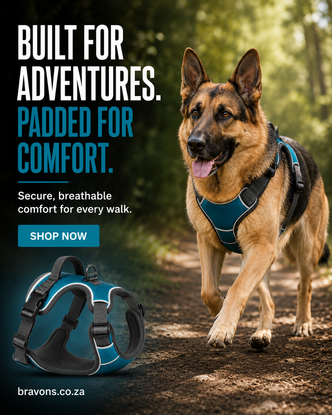 Adventure Dog Harness