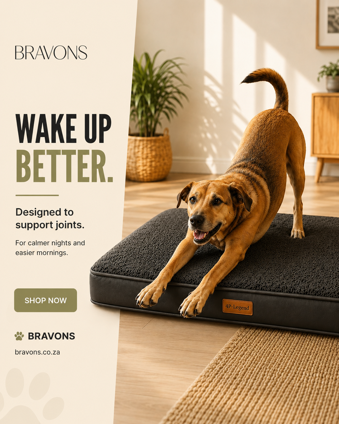 Orthopedic Memory Foam Pet Bed